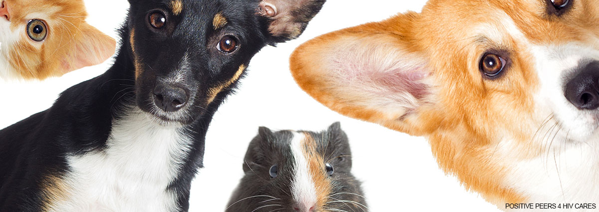 Pet-Owner-Positive-Peers